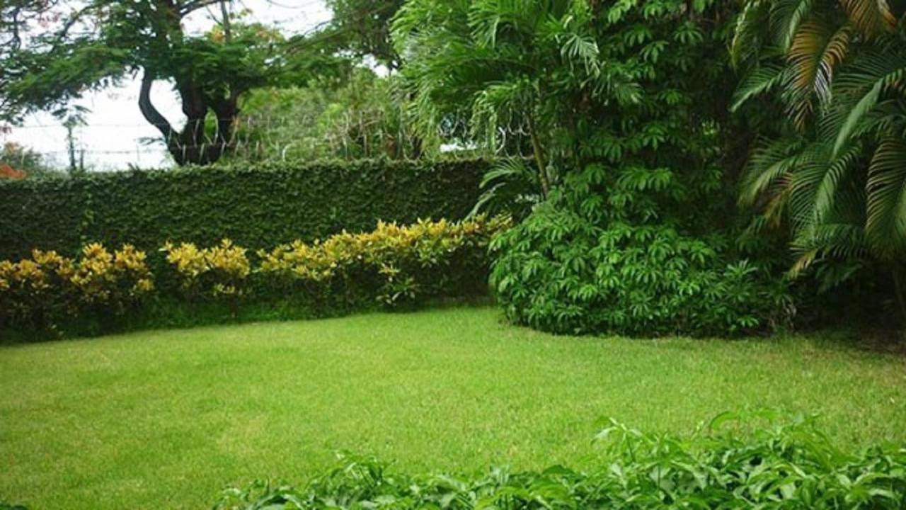 Hotel El Bramadero Liberia Luaran gambar